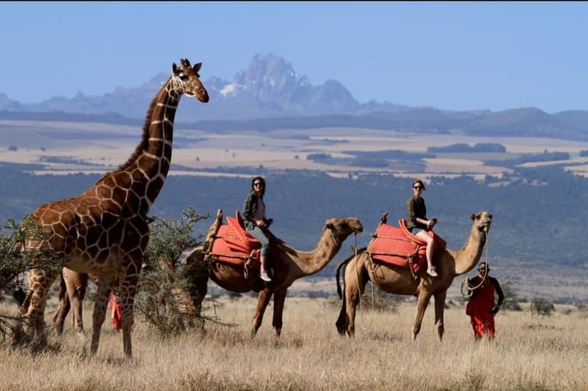 Personalized Safari Service