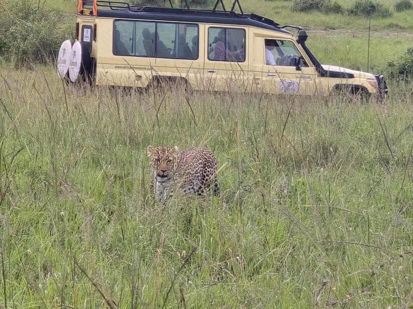 Exclusive Safari Access in Kenya