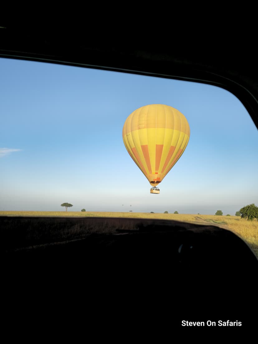 Expert Safari Planning in Kenya