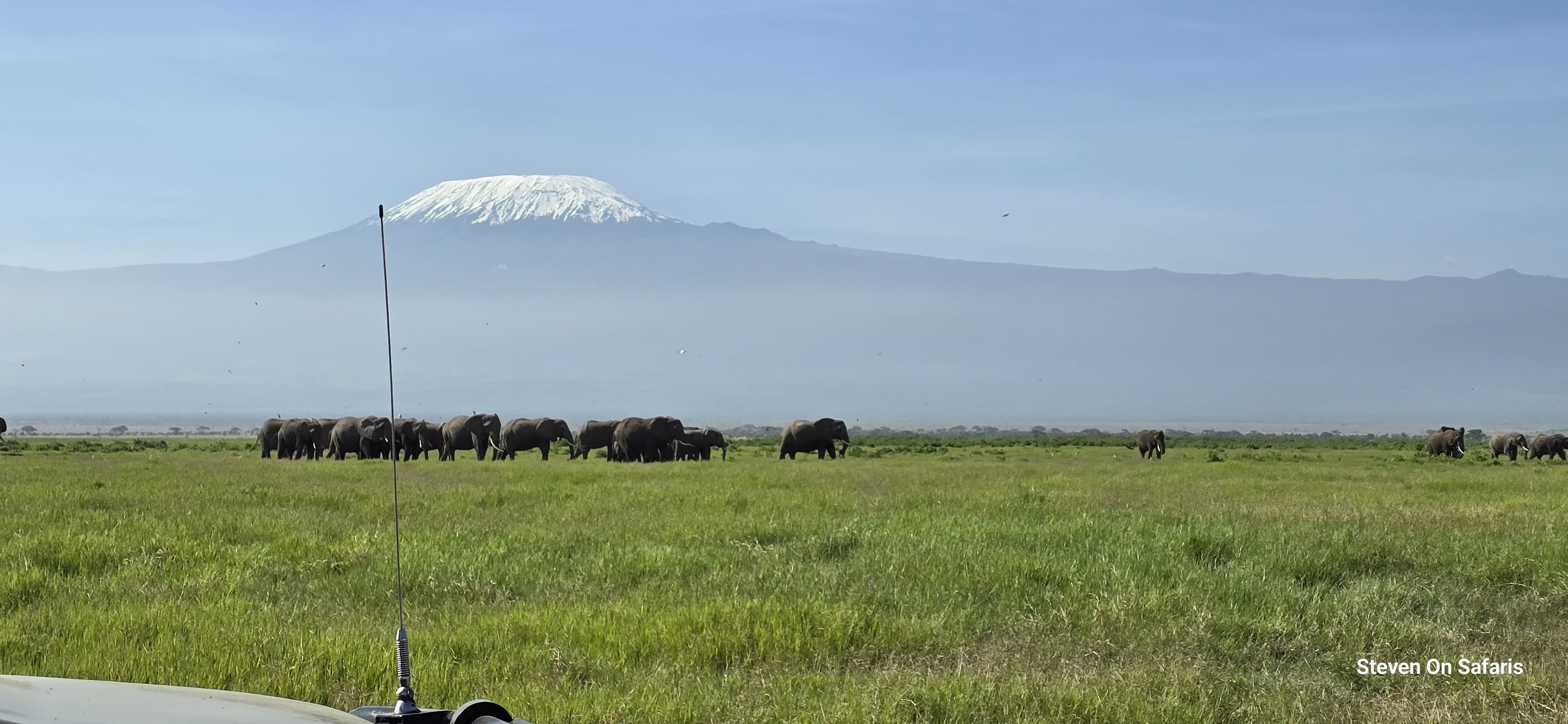 Majestic Kenyan Safari Experience